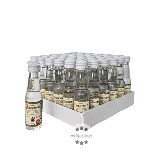 36 x Prinz Hausschnaps mit Marille Mini / 34 % vol / 36 x 0,02 Liter-PET-Flasche
