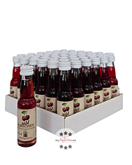 36 x Prinz Wild-Kirsch Likör Mini / 16 % vol / 36 x 0,02 Liter-Flasche