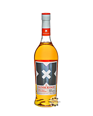 Glenmorangie X by Glenmorangie Single Malt Scotch Whisky / 40 % Vol. / 0,7 Liter-Flasche