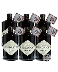 6 x Hendrick’s Gin Small Batch / 44 % vol. / 6 x 0,7 Liter-Flasche