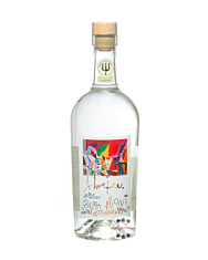 Pisoni Riccardo Schweizer Biance Grappa / 40 % Vol. / 0,7 Liter-Flasche