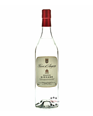 Rossi d` Angera: Grappa Giovane / 40 % vol. / 0,7 Liter