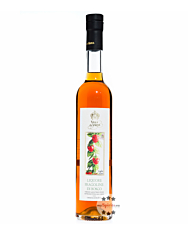 Villa de Varda Liquore Fragoline di Bosco Mezzolitro - Erdbeerlikör / 28% Vol. / 0,5 Liter-Flasche
