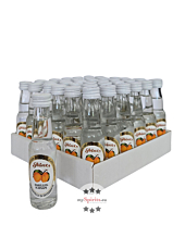 36 x Prinz Marillen-Schnaps Mini / 40 % vol / 36 x 0,02 Liter-Flasche
