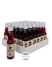 36 x Prinz Wild-Kirsch Likör Mini / 16 % vol / 36 x 0,02 Liter-Flasche