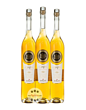 3 x Marcati Grappa Riserva „Il Bacio delle Muse“ / 40 % Vol. / 3 x 1,5 Liter 