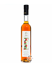 Villa de Varda Liquore Fragoline di Bosco Mezzolitro - Erdbeerlikör / 28% Vol. / 0,5 Liter-Flasche