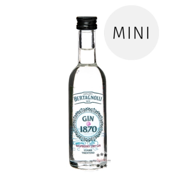 Bertagnolli Gin 1870 Raspberry Dry Gin Mini / 40 % vol / 0,05 Liter-Flasche