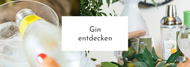 Hier Gin entdecken!
