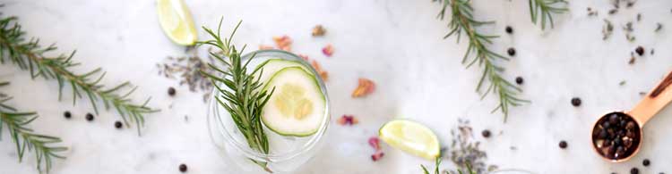 Gin Botanicals Gin Botanicals wie Klassische Wacholderbeeren, Fruchtige Botanicals oder Gin-Vielfalt