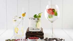 Gin Bestellen Entdecken Sie jetzt die große Vielfalt an Gin bei mySpirits.eu!