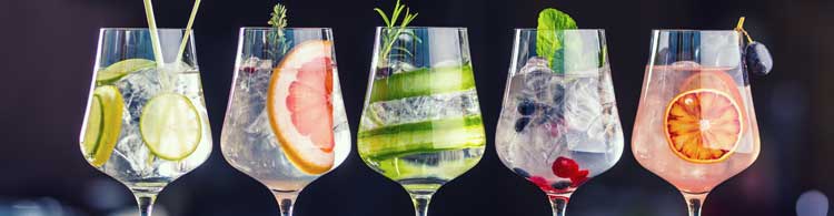 Gin-Sorten London Dry Gin, New Western Dry Gin, Distilled Gin oder Old Tom Gin