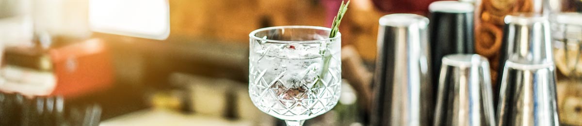 Bester Gin - Top 10 Gin Die Top 10 der besten Gins - Monkey 47, Tanqueray oder Hendricks