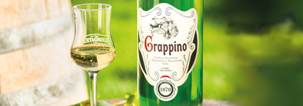 Grappa online kaufen – italienische Destillationskunst Grappa online kaufen – italienische Grappe aus renommierten Brennereien